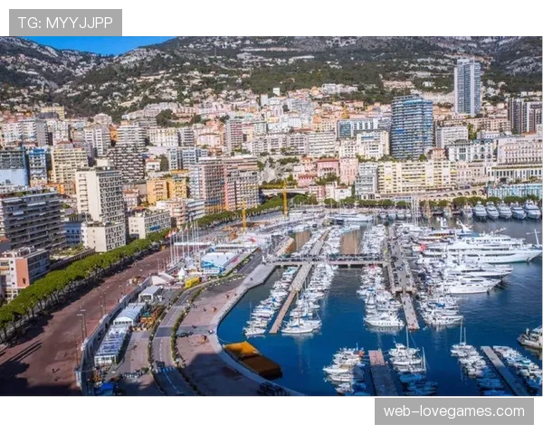 法甲官方数据合作伙伴发布报告,揭示第二屏观赛用户最常调取的三种实时数据